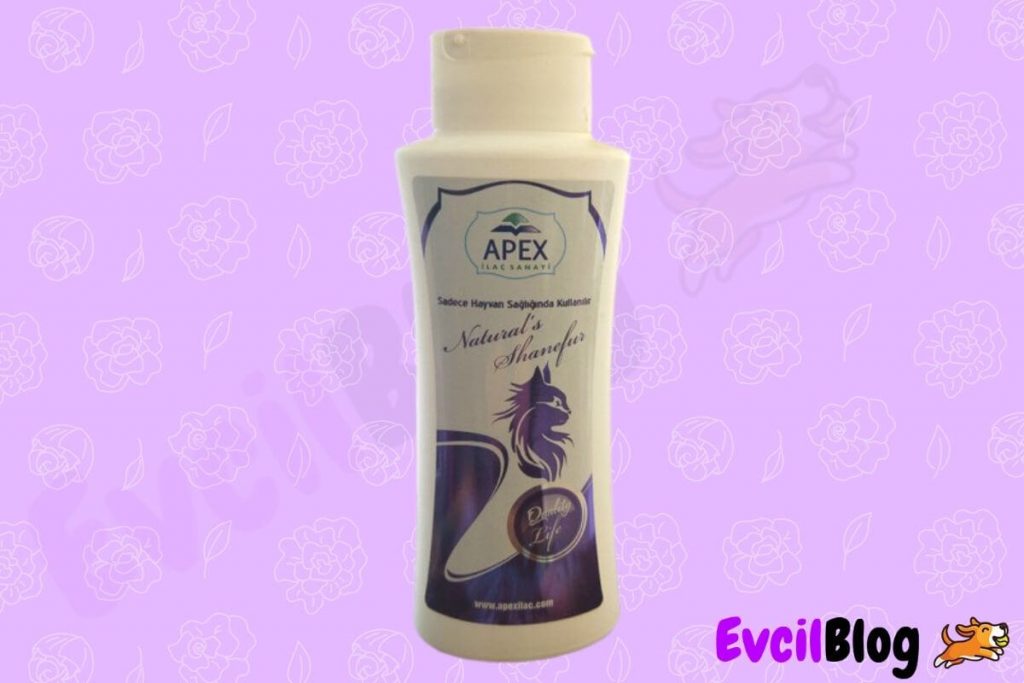 apex kedi şampuanı