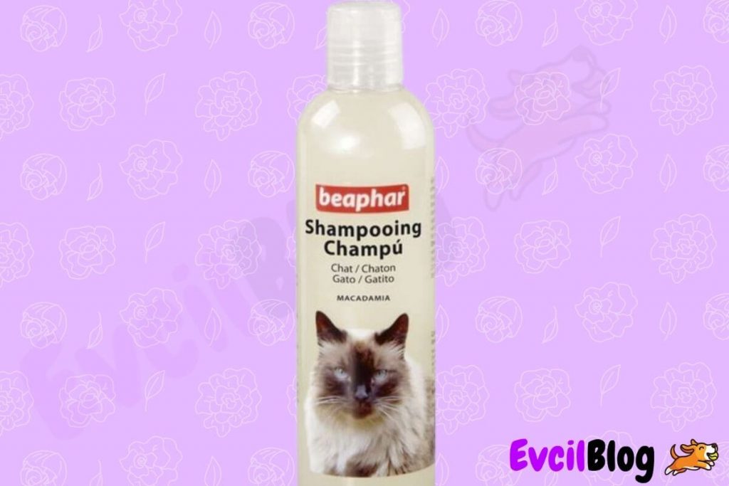 beaphar kedi şampuanı